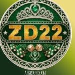ZD222 Game