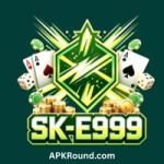 e999 Game